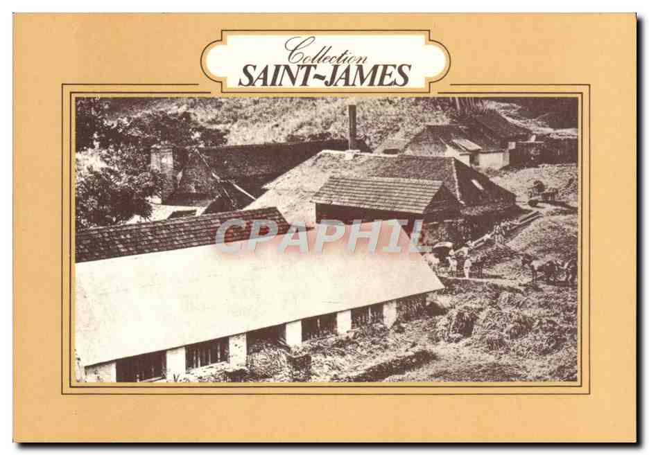 CPM Collection Saint James Musee du Rhum Martinique Cases a bagasses