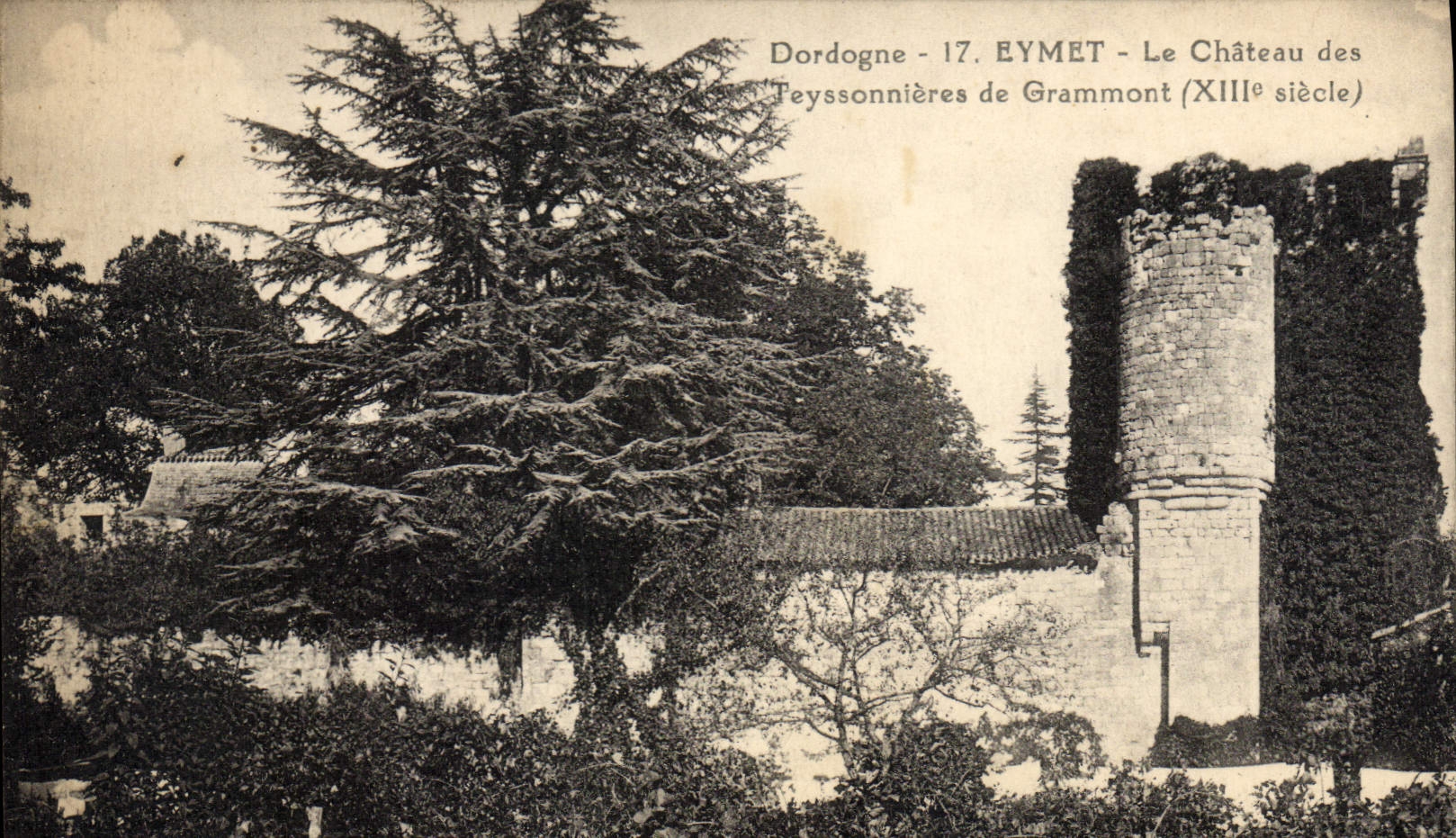 Eymet - Schloss Teyssonnières de Grammont (13. Jahrhundert) — Verlag: Dordogne - 17. Eymet