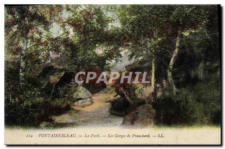 Fontainebleau — La Forêt — Les Gorges de Franchard — LL. — n° 214