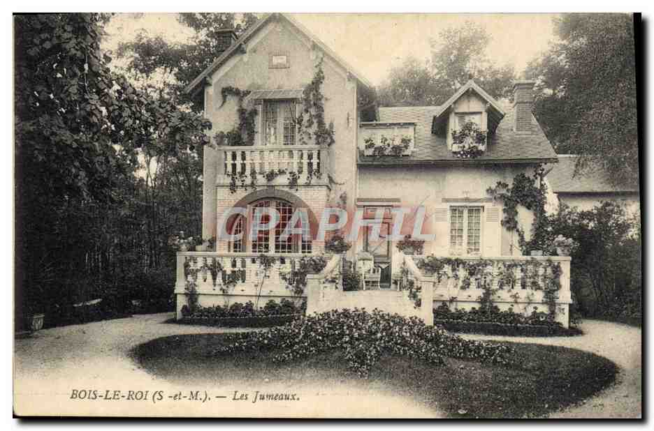 CPA Bois Le Roi Les Jumeaux