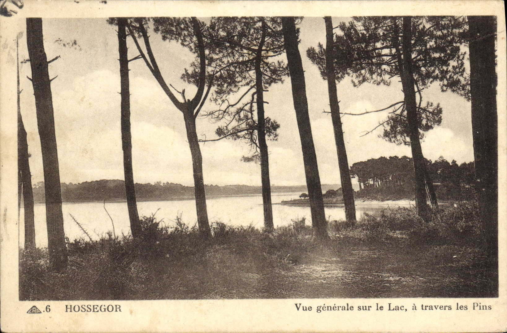 Hossegor — Vue générale sur le Lac, à travers les Pins — CPA n°6