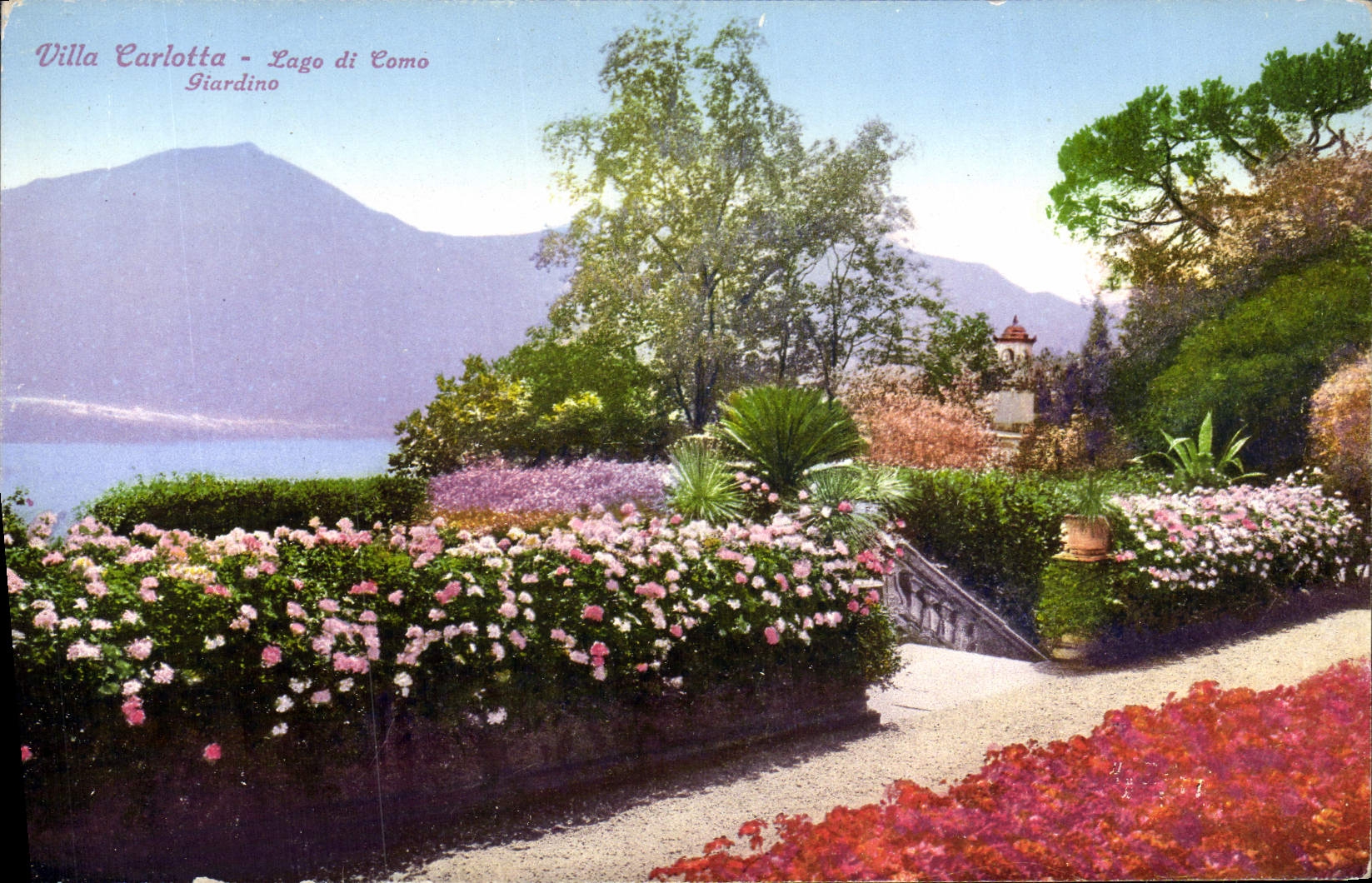 CPA Villa Carlotta Lago Di Como Giardino