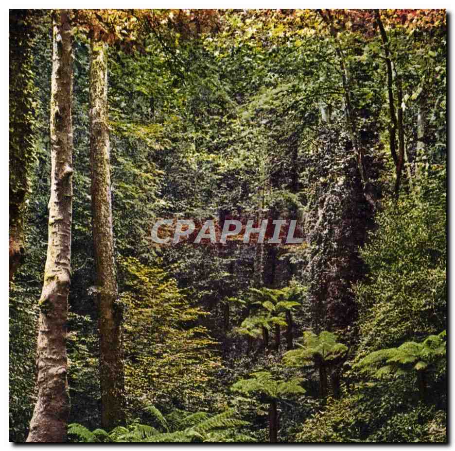 CPA Villa Carlotta Vailata Delta Felci