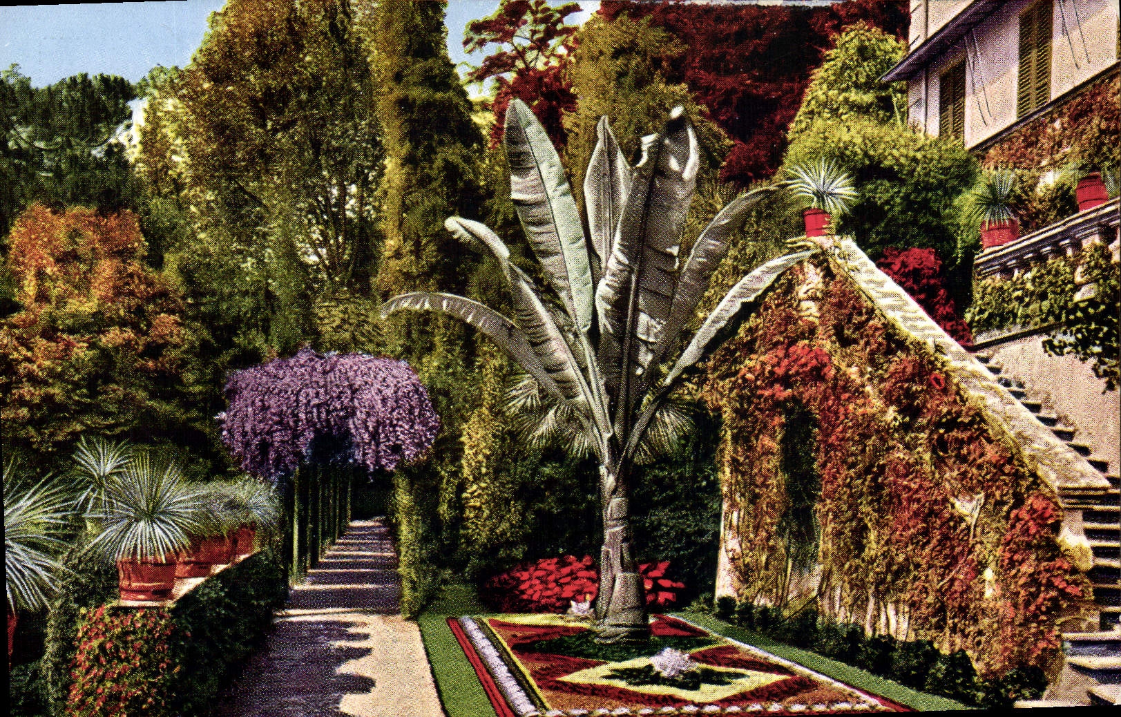 CPA Lago Di Como Cadenabbia Giardino Della Villa Carlotta