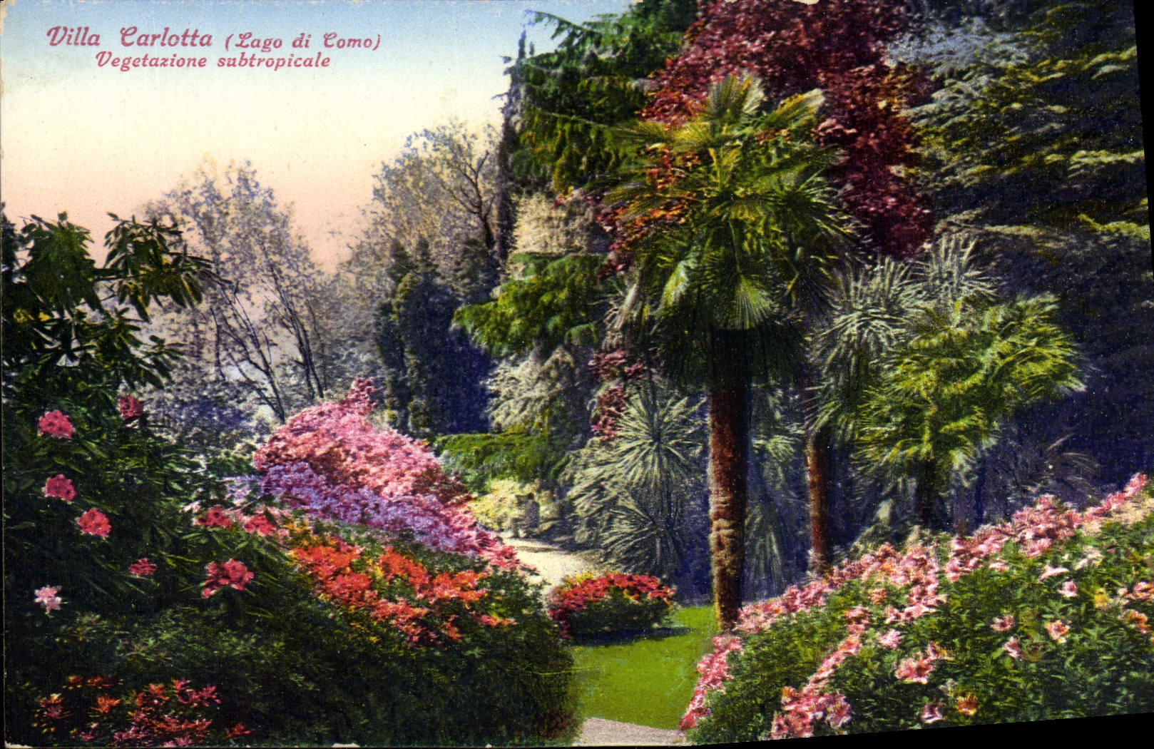 CPA Villa Carlotta Lago Di Como Vegetazione Subtropicale