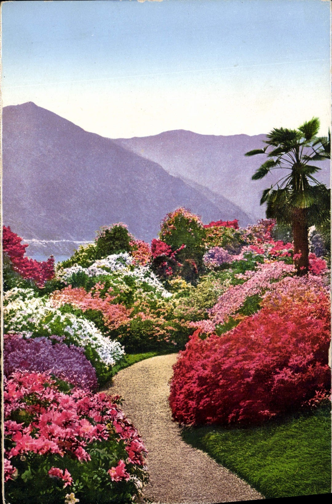CPA Villa Carlotta Giardino