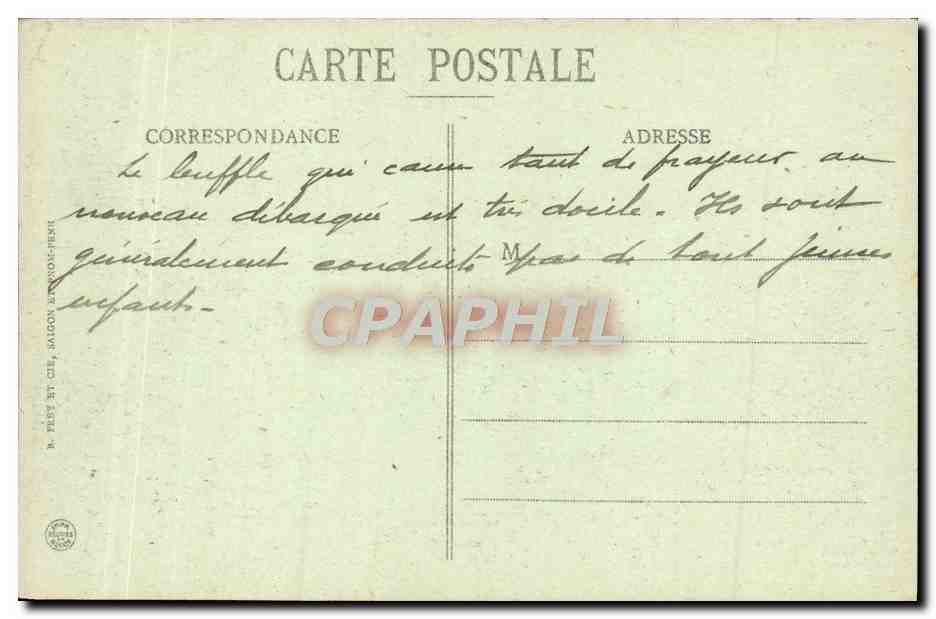 CPA Cochinchine Buffles Domestiques Indochine — Back