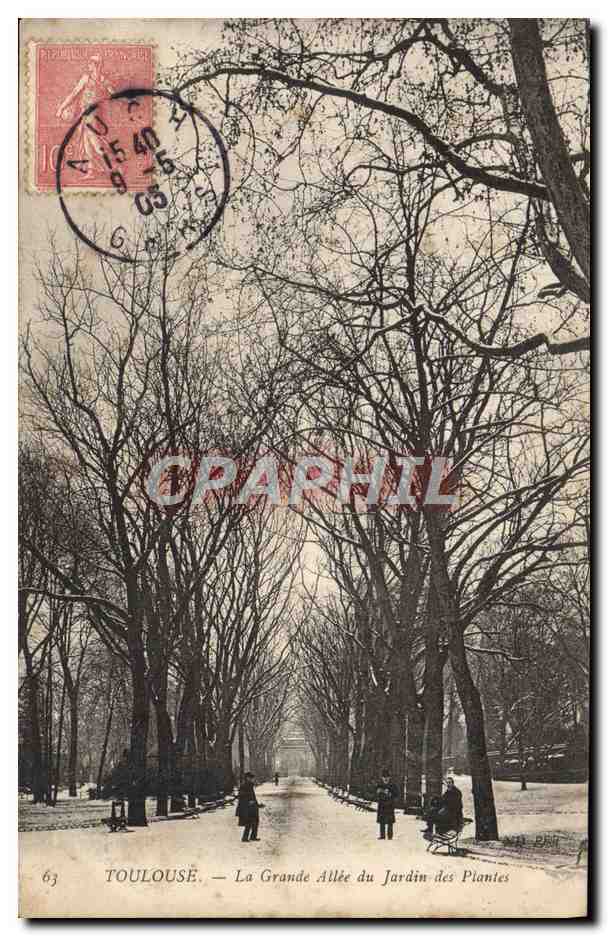CPA Toulouse La Grande Allee du Jardin des Plantes