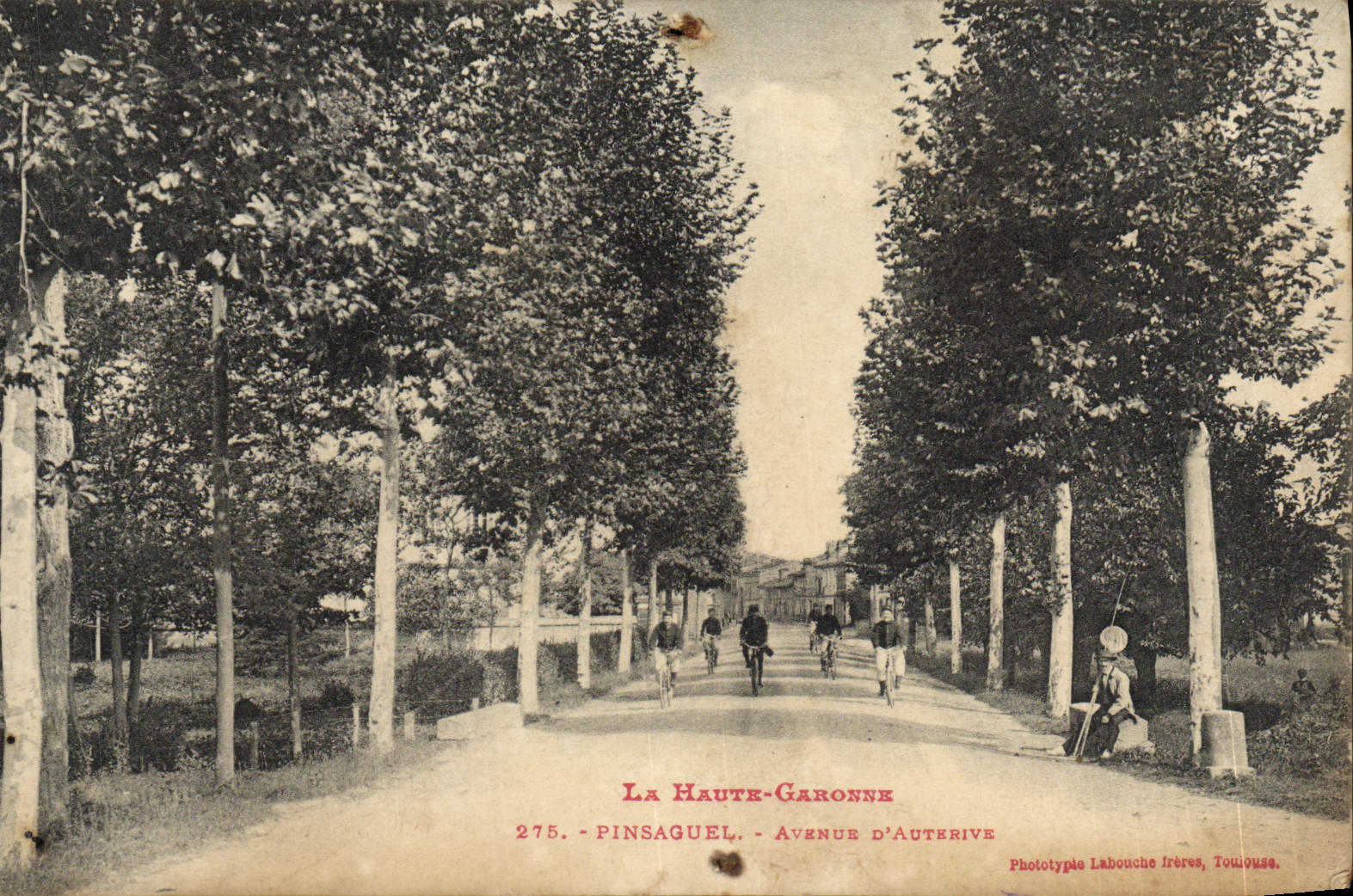 La Haute-Garonne — Avenue d'Auterive — Phototypie Labouche frères, Toulouse