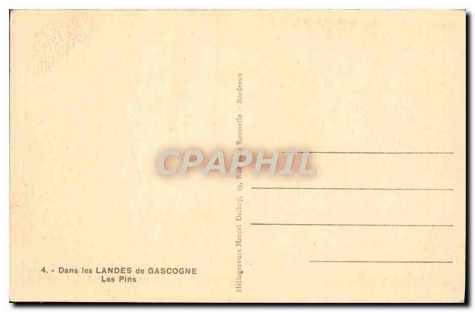 CPA Dans les Landes de Gascogne Les Pins — Rückseite