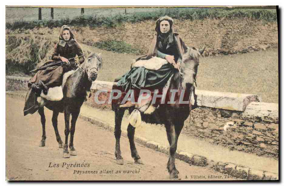 CPA Les Pyrenees Paysannes allant au Marche Ane Mule Folklore 
