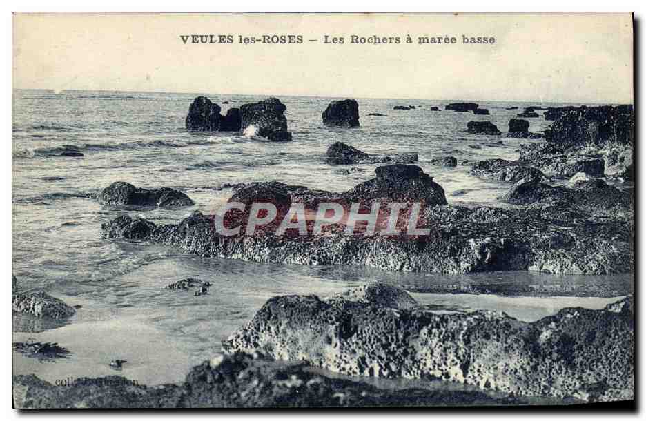 CPA Veules les Roses Les Rochers a Maree Basse