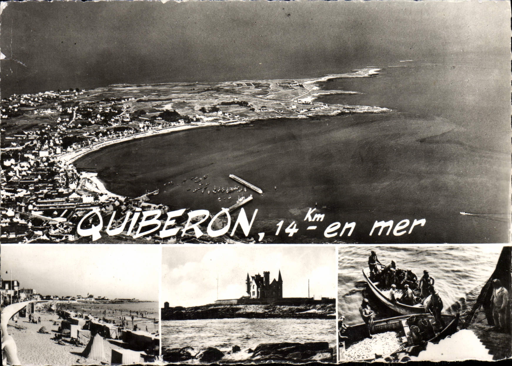 CPM Quiberon Vue Aerienne La Plage Chateau de la Pointe Arrivee des sardines a Port Maria