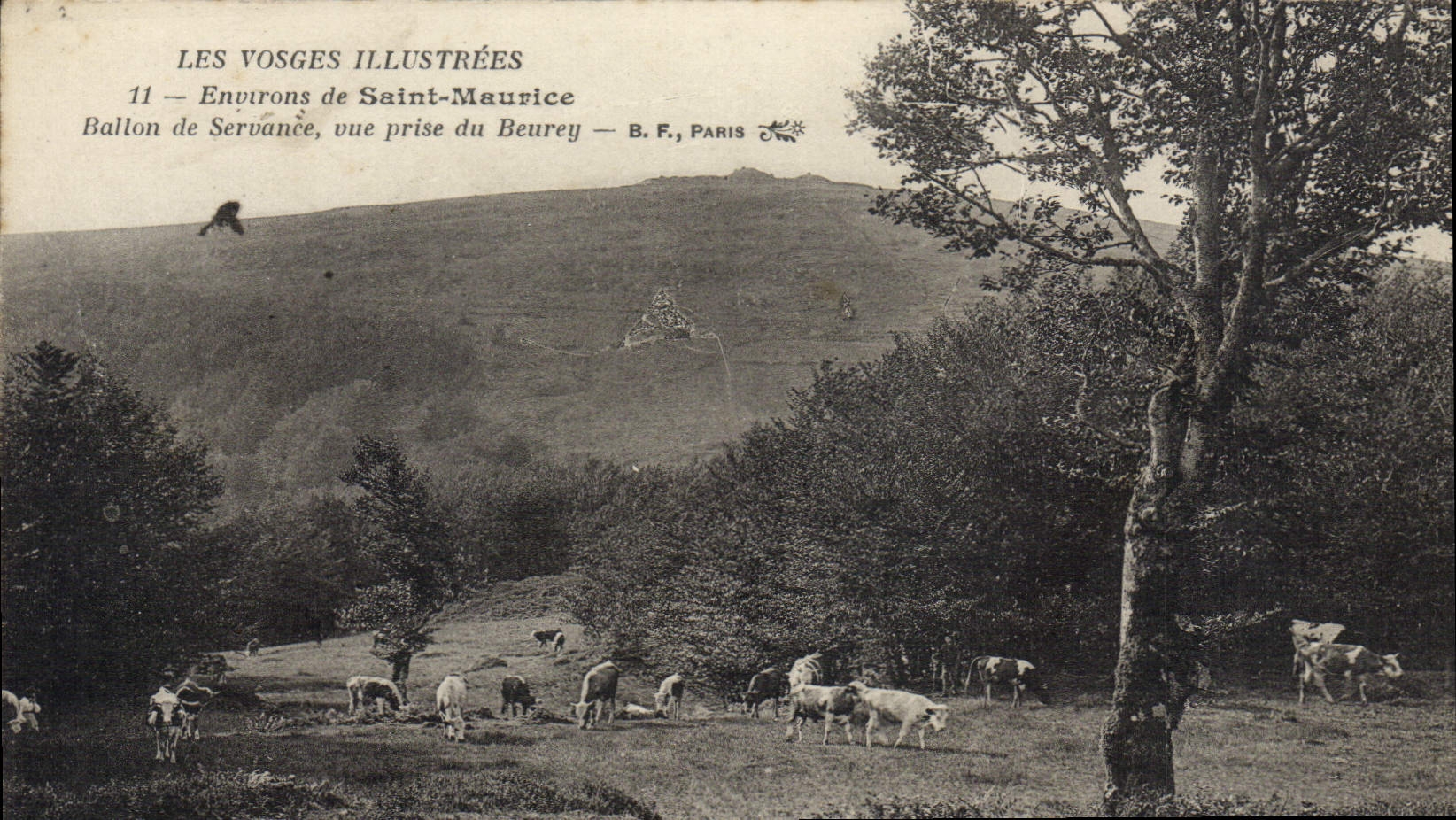 CPA Environs de Saint Maurice Bailon de Servance Vue Prise du Beurey Vaches 