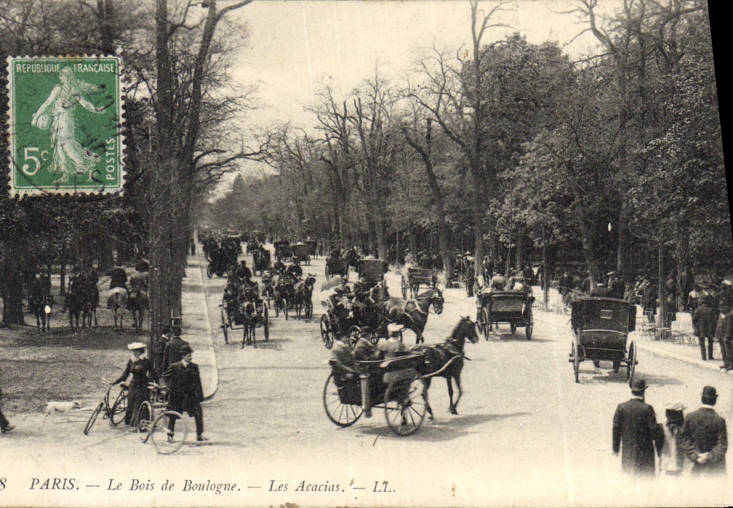 CPA Paris Le Bois Boulogne Les Acacias Chevaux 