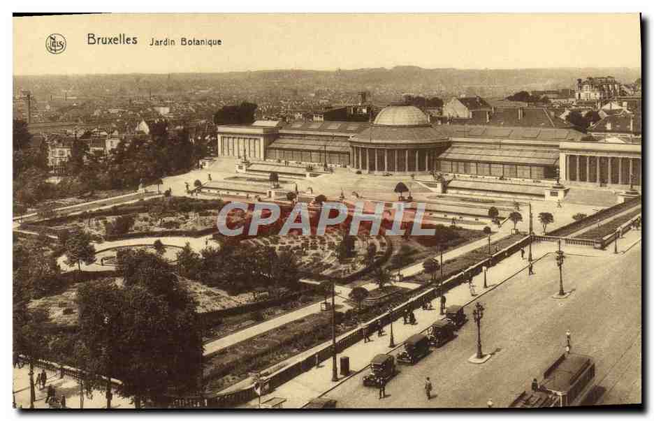 CPA Bruxelles Jardin Botanique