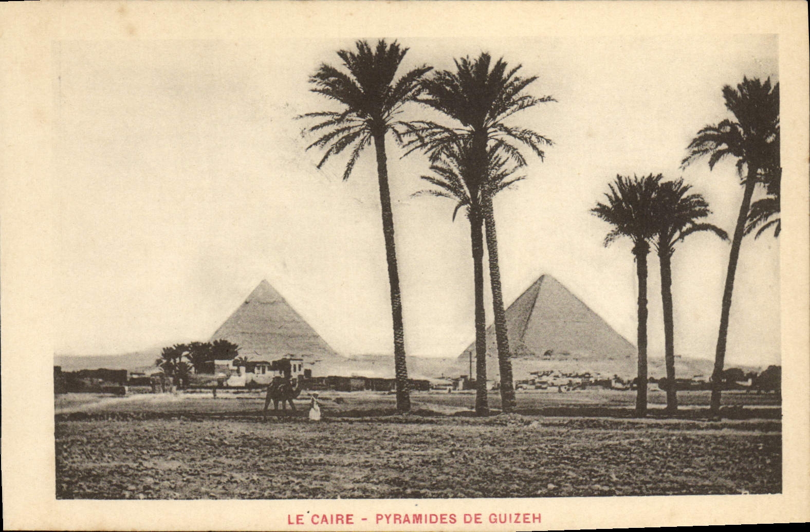 CPA Le Caire Pyramides De Guizeh Egypte Egypt