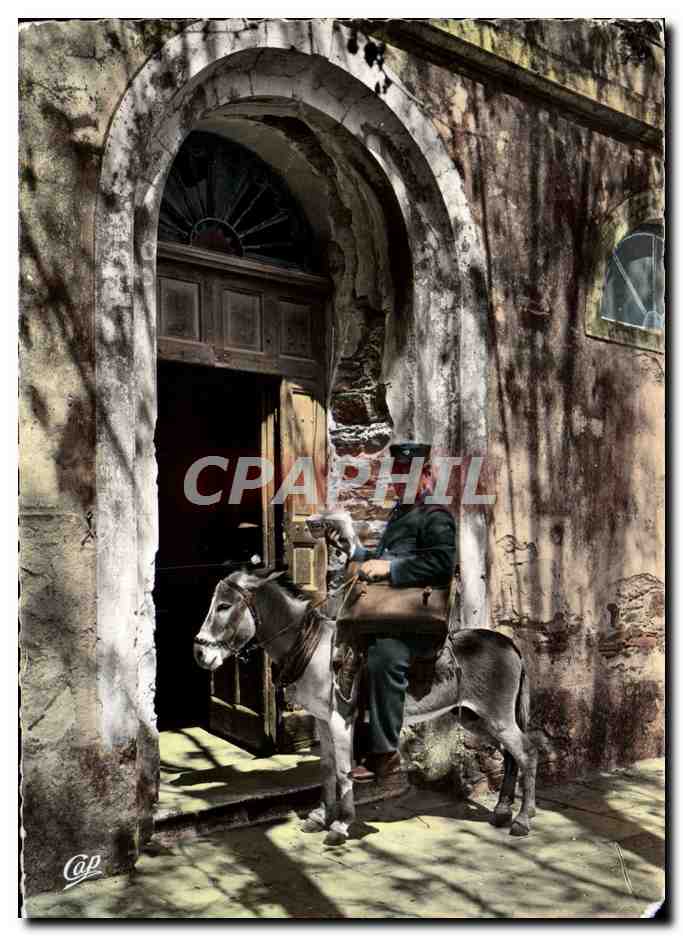 CPM Types Corses Le Facteur Ane Mule Corsica