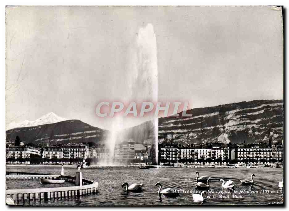 CPM Geneve Les cygnes Le jet d'eau et le Mont Blanc 
