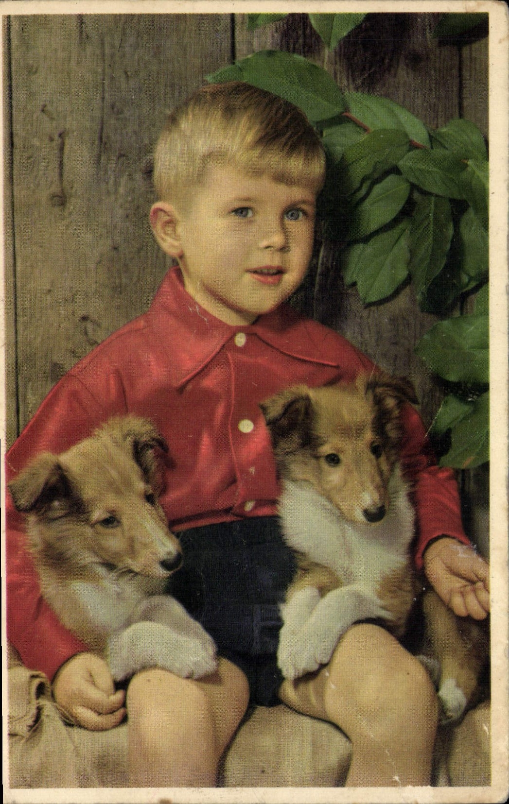 CPA Fantaisie Enfant Chiens