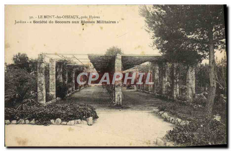 CPA Le Mont Des Oiseaux Pres Hyeres Jardins Societe de secours aux Blesses Militaires