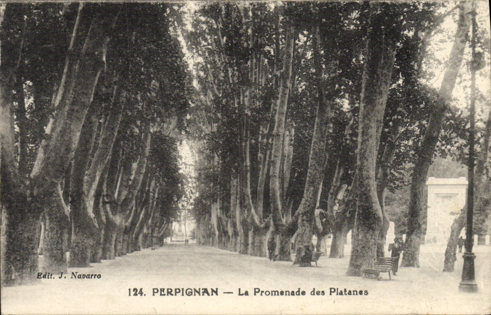 CPA Perpignan La Promenade Des Platanes