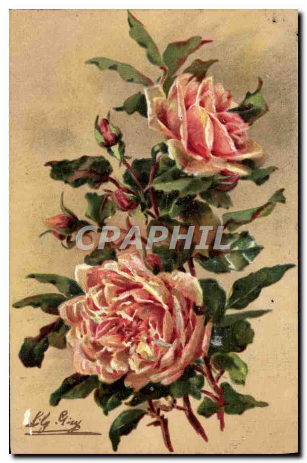 CPA Fantaisie Fleurs