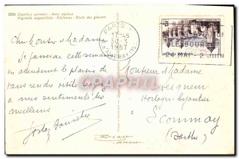 CPA Fleurs Etoile des glaciers Edelweiss — Verso
