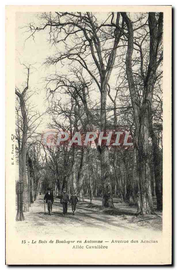 CPA Le Bois de Boulogne en Automne Avenue des Acacias Allee cavaliere