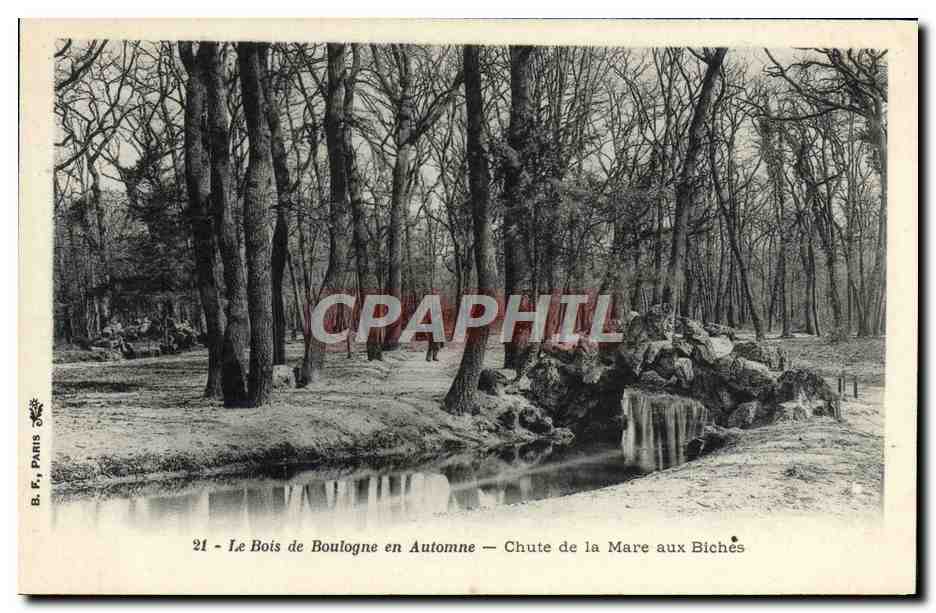 CPA Le Bois de Boulogne en Automne Chute de la Mare aux Biches