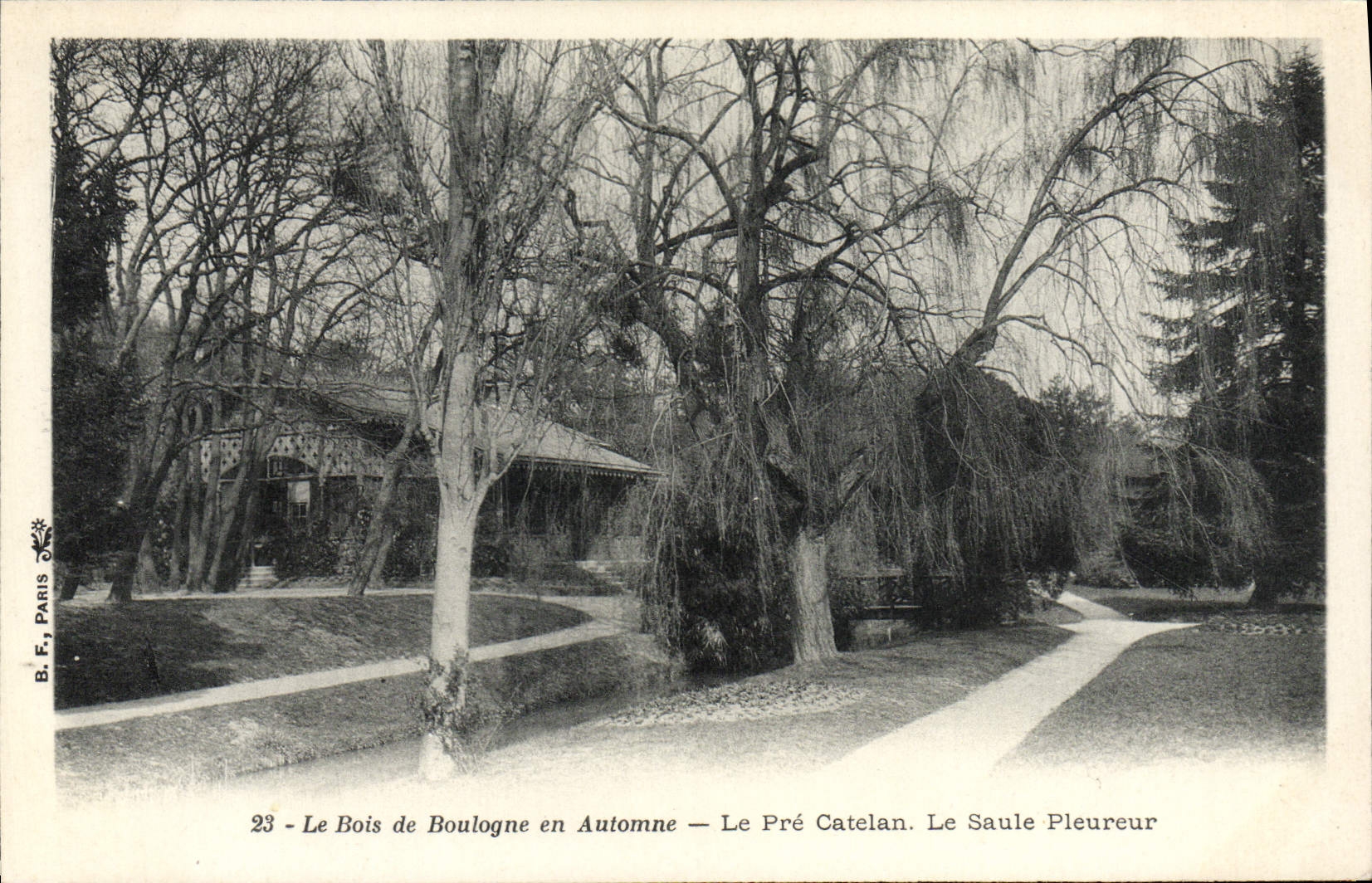 CPA Le Bois de Boulogne en Automne Le Pre Catelan Le Saule pleureur