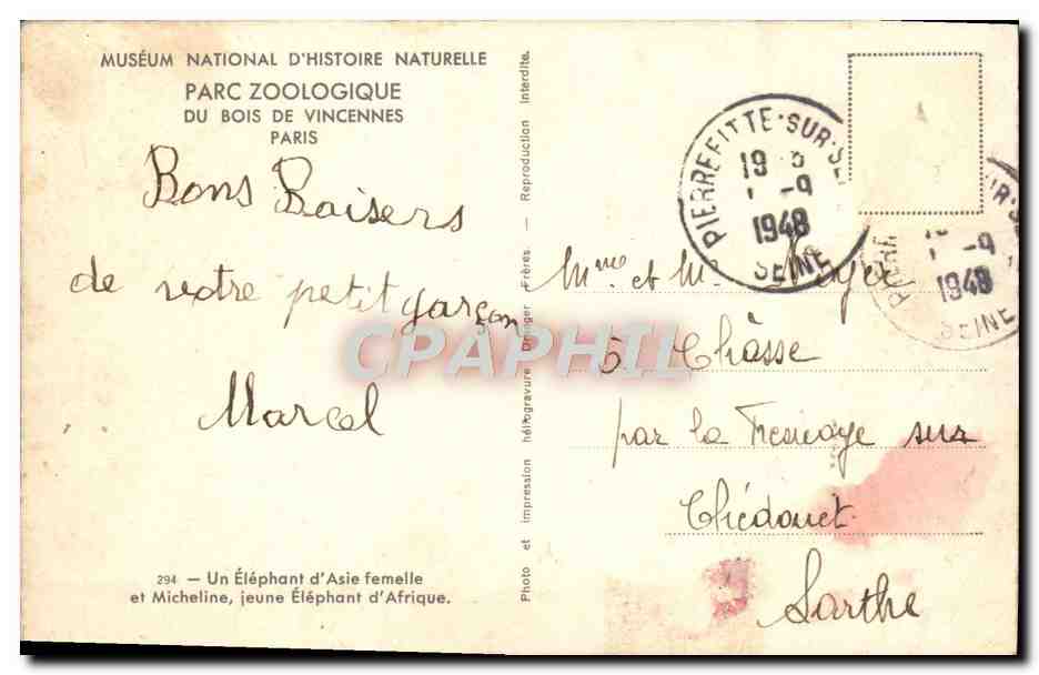 CPA Paris Du Bois De Vincennes Un elephant d'Asie femelle et Micheline jeune elephant — Rückseite