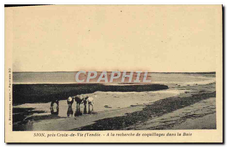CPA Sion Pres Croix de Vie A la Recherche de coquillages dans la baie