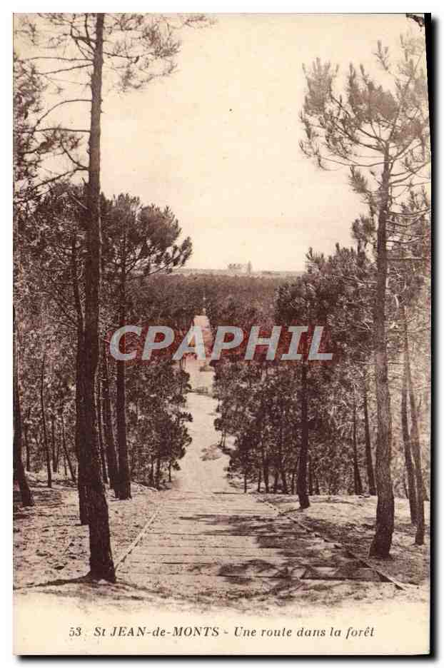 St JEAN-de-MONTS - Une route dans la forêt