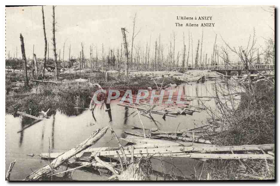 L'Ailette à Anizy — vue dévastée d'un paysage forestier — B. Nougardide et H. Leblat, Sépans