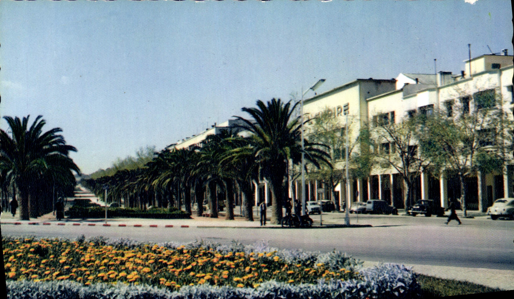 CPM Fes L'avenue de France