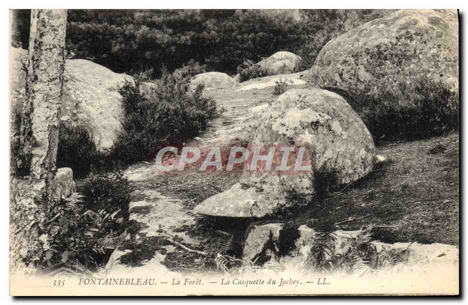 Fontainebleau — La Forêt — La Casquette du Jockey — LL. — N° 335