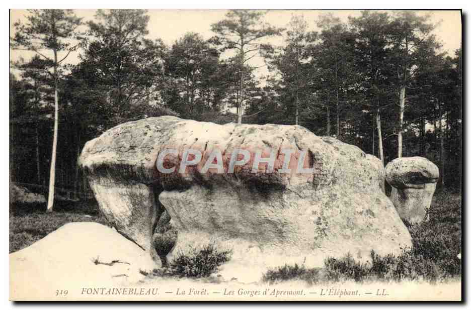 Fontainebleau — El Bosque — Las Gorges d'Apresmont — El Elefante — LL. — N° 319