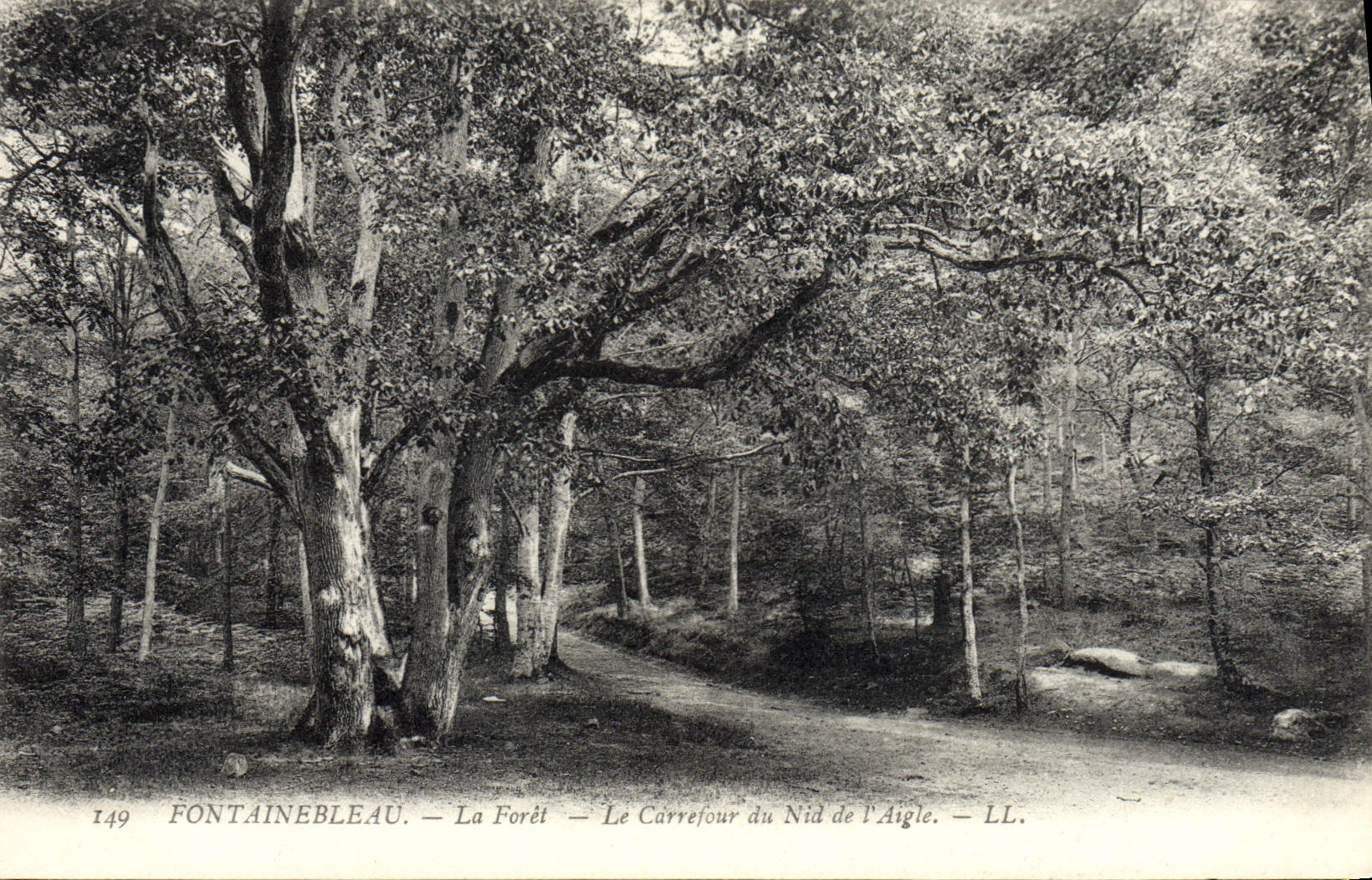 Fontainebleau — La Foresta — Il Quadrivio del Nido dell'Aquila — LL. — N° 149