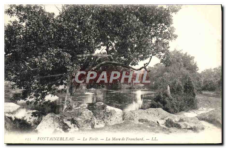 Fontainebleau — Die Wälder — La Mare de Franchard — LL.