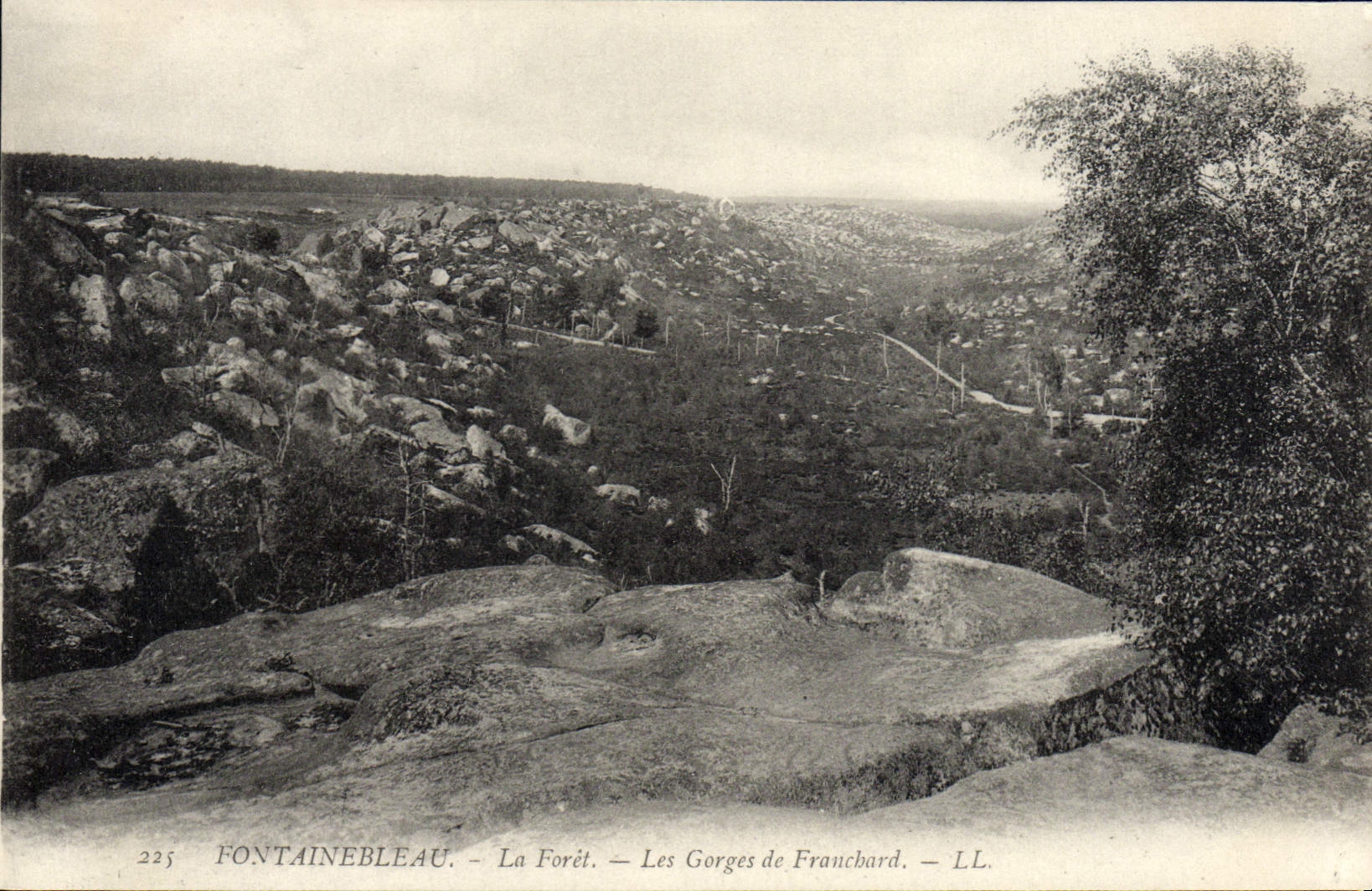 Fontainebleau — La Foresta — Le Gorges de Francbard — LL. — n°225