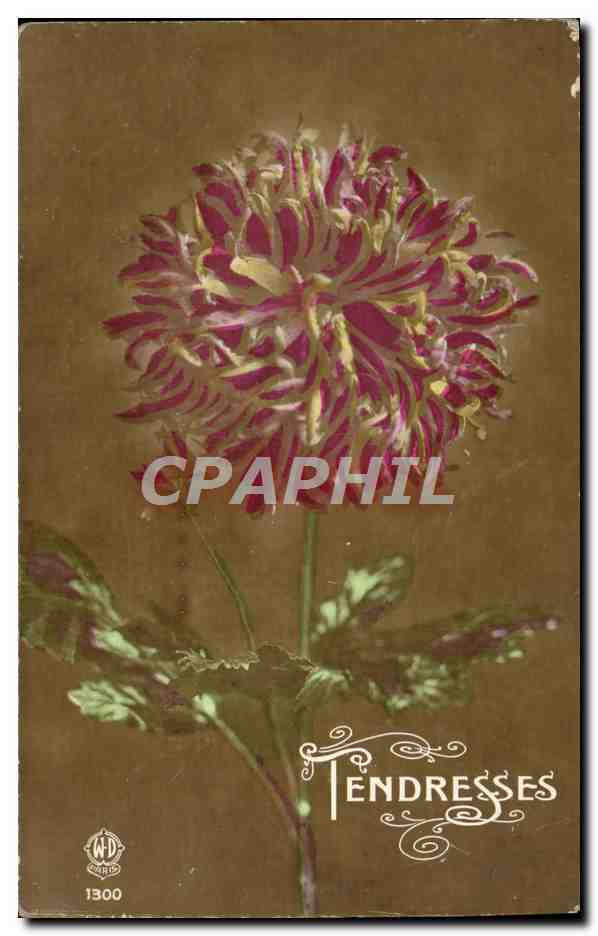 CPA Fantaisie Fleurs 