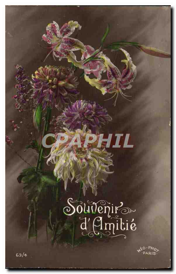 CPA Fantaisie Fleurs