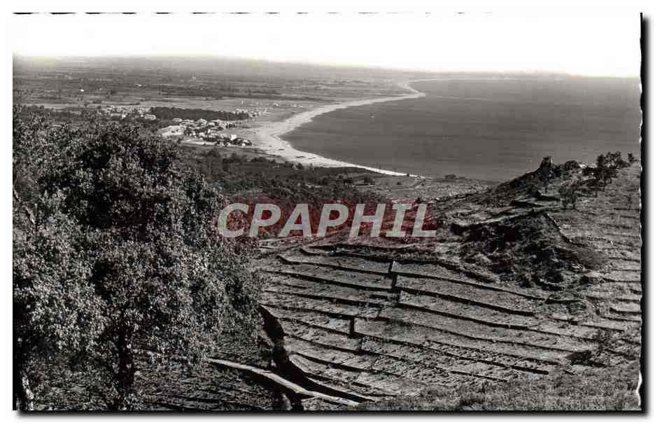 CPM La Cote Vermeille Le Bord de Mer La Plage au fond Argeles sur Mer