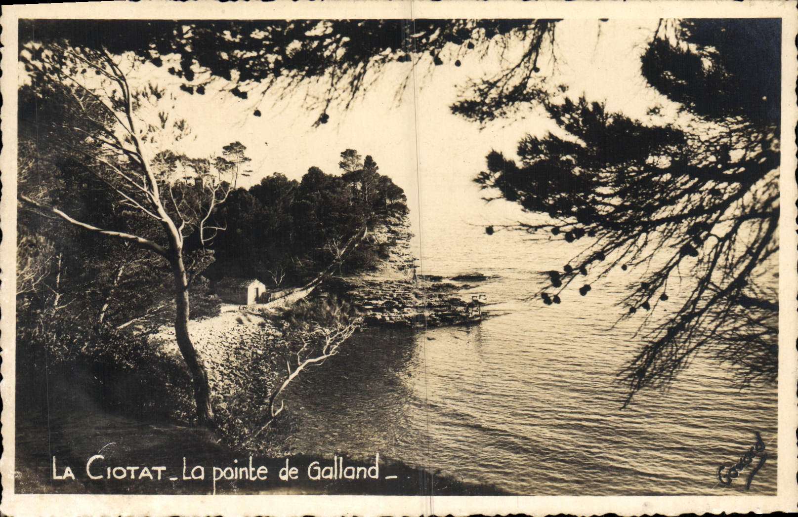 CPA La Ciotat La Pointe de Galland