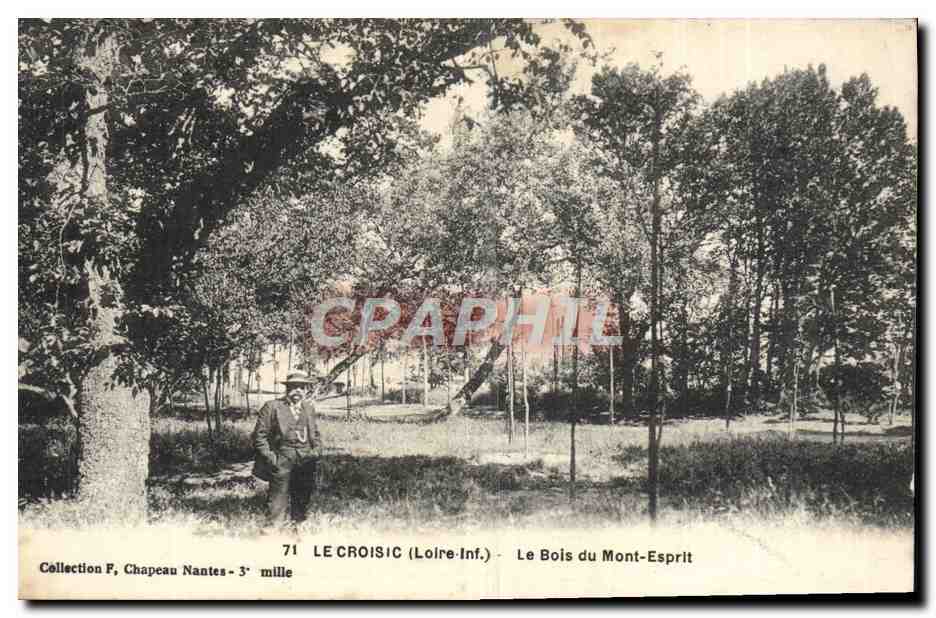 CPA Le Croisic Le Bois du Mont Esprit