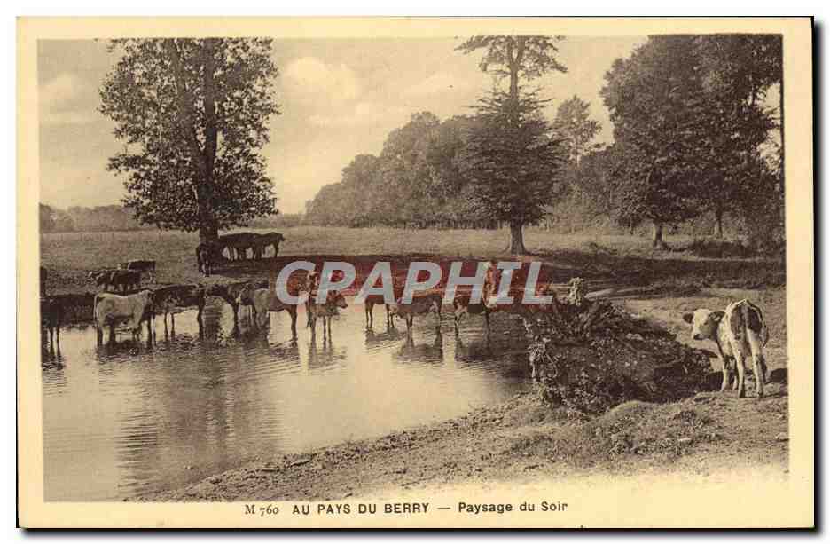 CPA Au Pays Du Berry Paysage du soir Vaches 