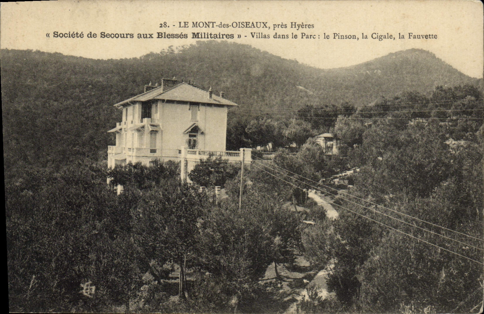 LE MONT-des-OISEAUX, près Hyères — « Société de Secours aux Blessés Militaires » — Villas dans le Parc : le Pinson, la Cigale, la Fauvette