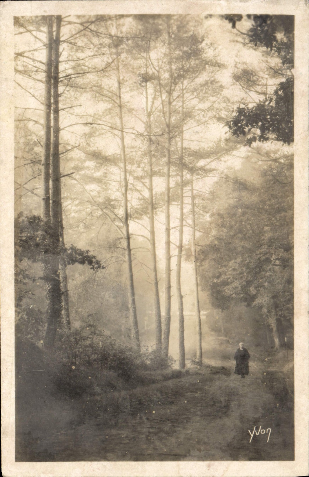CPA Huelgoat Dans la foret en Bordure de la Route
