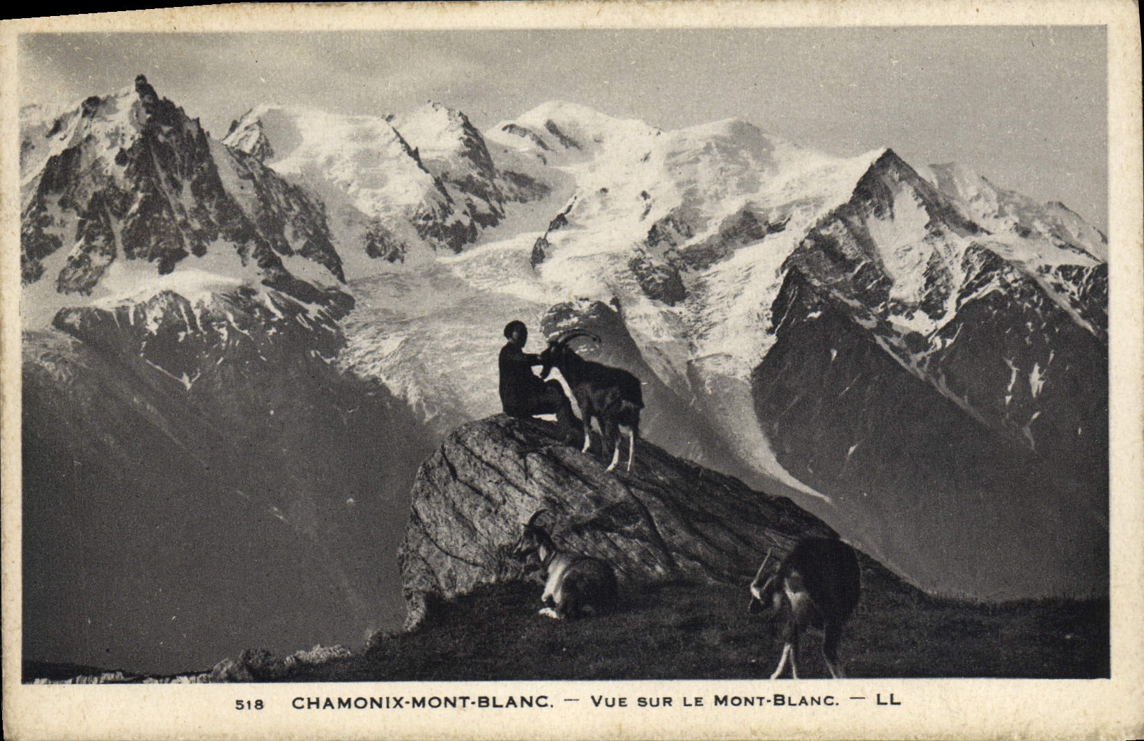 CPA Chamonix Vue Sur Le Mont Blanc Bouc Chevre 